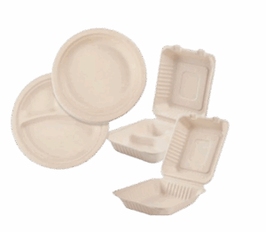 Baggase Hinged Boxes & Plates