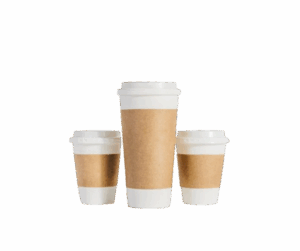 Paper Hot Cups